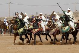 Image du Maroc Professionnelle de  Course typiquement marocaine dite ''la Fantasia'' organisé dans un site désertique sur lequel la ville de Tan Tan a toujours accueilli la majorité des tribus et des grandes familles nomades du désert lors d'un grand moussem, Samedi 24 Mars 2012. (Photo / Abdeljalil Bounhar)

 